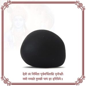 Vedic Vaani Natural Black Stone Tulsi Vivah Vishnu Shaligram Shila for Puja (Pack of 5)