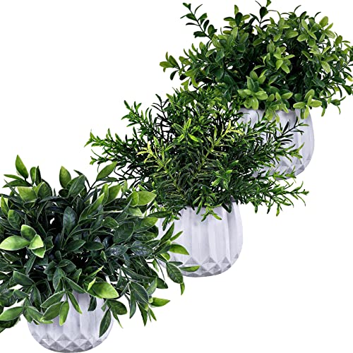 Winlyn 3 Pcs Faux Potted Plants Set - Artificial Eucalyptus, Rosemary, Boxwood Greenery in Small White Geometric Planters for Indoor Outdoor Desk Table Centerpiece Shelf Windowsill Home Office Decor