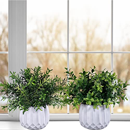 Winlyn 3 Pcs Faux Potted Plants Set - Artificial Eucalyptus, Rosemary, Boxwood Greenery in Small White Geometric Planters for Indoor Outdoor Desk Table Centerpiece Shelf Windowsill Home Office Decor