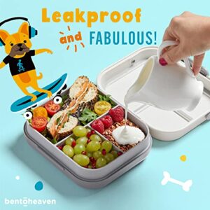 Bentoheaven Premium Bento Lunch Box for Kids, 9 Designs, Leak-proof 3-4 Compartments, Divider, Ideal size 30oz, Microwave/Dishwasher Safe Kids Bento Box (Loncheras Para Niños/Niñas)[Sand Gray]