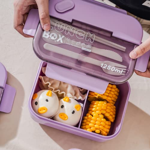 NIOIPXA Bento Box 2 or 3 Compartments, 1250ml/42oz Microwaveable Lunch Box with Tableware (Purple,2 compartments)