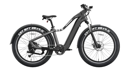 OKAI Ranger 4" Fat Tire E-Bike 330lb Capacity BAFANG Rear Hub Motor 48V 750W Shimano 8-Speed Gears 45 Mile Range Custom LED Light Bar LCD Touchscreen TEKTRO Disc Brakes Black