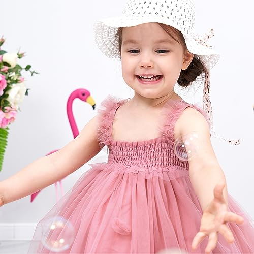 Miipat Baby Girls Tulle Dress Sleeveless Floral Butterfly Tutu Dress Toddler Girls Birthday Party Princess Dresses(DarkPink, 18-24M)