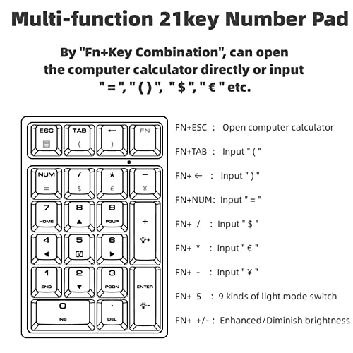 BRIMFORD Number Pad, Mechanical Numeric Keypad, RGB Digital Mechanical Keyboard 21 Keys with USB for Laptop, Notebook, Surface, Tabulation/Accounting Keypad (Black (ABS Laser Carving Keycaps))