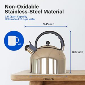 YSSOA Stainless Steel Whistling Tea Kettle, 3.17 Quart, Teapot for Stove top with Wide Mouth, Easy Pouring Spout and Ergonomic Handle, Silver