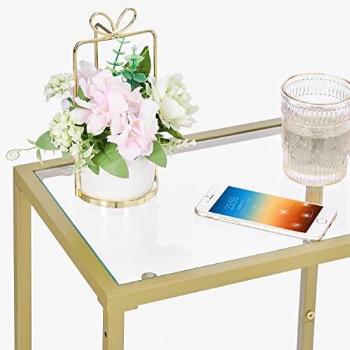 HOMSHO 2-Tier Side Table, End Tables with Tempered Glass, Nightstands with Storage Shelves, Slim Sofa Table for Living Room, Bedroom (1, Golden)