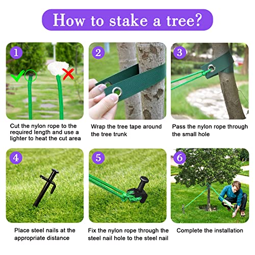 Heavy Duty Tree Stakes, 8 PCS 15.8" Tree Stake Kit, Tree Supports for Leaning Tree for Hurricane Protection. Include 8 PCS 15.8" Steel Tree Stakes, 8 PCS 15.8" Tree Straps 98.4 FT Rope