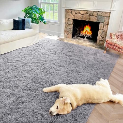 Vasofe Extra Soft Grey Fluffy Area Rugs 5x7 Shag Bedroom Rugs, Gray Large Fuzzy Rugs for Living Room, Plush Nursery Carpet for Kids, Teen, Shag Furry Throw Modern, Indoor Home Decor Floor Rug