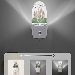 RisQiten Easter Bunny Night Light, LED Plug in Night Light, Green Truck Spring Eucalyptus Leaf Wreath Night Lights with Dusk to Dawn Sensor Decorative Kids/Adults Nightlight for Bedroom Bathroom