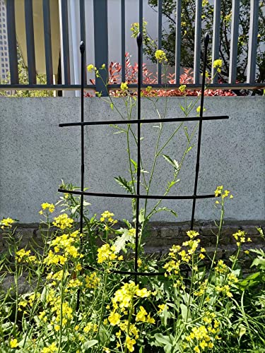 Black Plant Trellis Garden Trellis Clinging Roses Trellis Plant Cage Climbing Flower Support with Coating to Decorate Your Garden 2 Packs