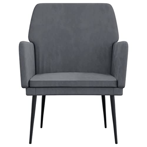 vidaXL Velvet Armchair in Dark Gray - Comfy Modern Design with Durable Material and Perfect Dimensions.