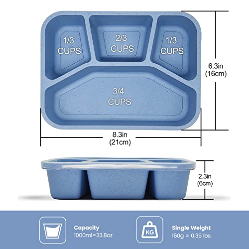 SHALORY 4 Pack Bento Lunch Box for Kids,4 Compartment Divided Meal Prep Sncak Container,Freezer Microwave and Dishwasher Safe Food Storage,Reusable Bento Adult Lunch Box for School Work Travel