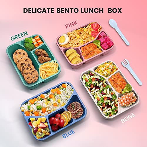 SHALORY 4 Pack Bento Lunch Box for Kids,4 Compartment Divided Meal Prep Sncak Container,Freezer Microwave and Dishwasher Safe Food Storage,Reusable Bento Adult Lunch Box for School Work Travel