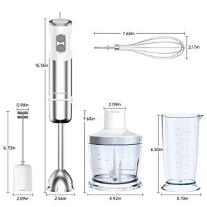 Immersion Blender, 5 in 1 Hand Blender, 12 Speed and Turbo Mode Immersion Blender handheld, Blender Electric Stainless Steel with Milk Frother, 600ml Beaker, 500ml Chopper, Egg Whisk