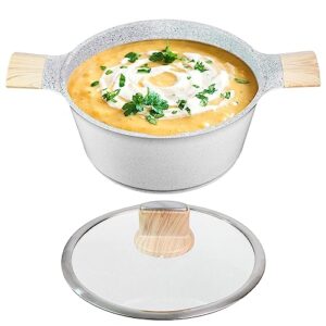 lecooking 2.5 qt nonstick stock pot soup pot, nonstick stock pot induction with lid, cooking pot nonstick soup pot, all stove compatible, easy to clean (light gray)