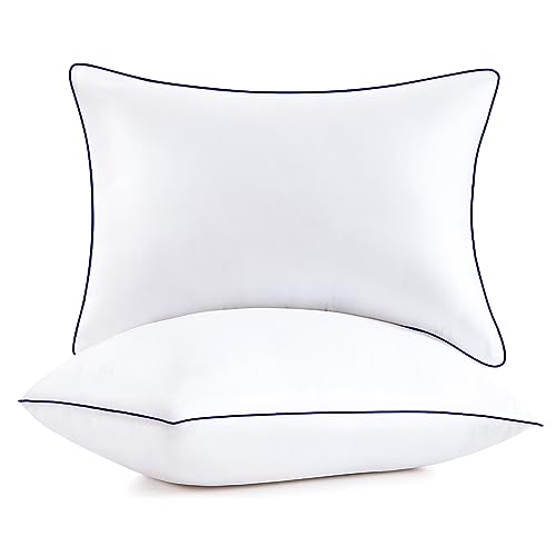 HomeMate Bed Pillows for Sleeping - Queen Size(20''x28'') Set of 2 Allergy Friendly Microfiber Shell Fluffy Down Alternative Filling Breathable Pillow Suitable Back Stomach or Side Sleepers, White