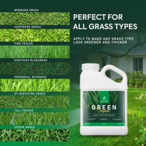 Green Organic Lawn Fertilizer - Grass Fertilizer for Lawn Color & Sustained Growth, Lawn Fertilizer That Conditions & Nourishes Soil, No Harsh Chemicals Lawn Care, 1 Gal. Lawn Food for 20,000 sq. ft.