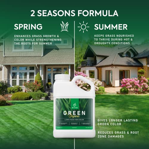 Green Organic Lawn Fertilizer - Grass Fertilizer for Lawn Color & Sustained Growth, Lawn Fertilizer That Conditions & Nourishes Soil, No Harsh Chemicals Lawn Care, 1 Gal. Lawn Food for 20,000 sq. ft.