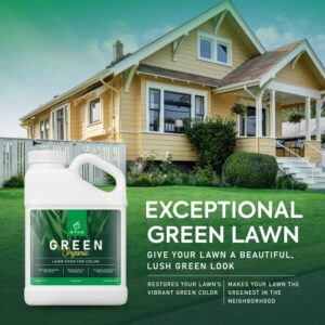 Green Organic Lawn Fertilizer - Grass Fertilizer for Lawn Color & Sustained Growth, Lawn Fertilizer That Conditions & Nourishes Soil, No Harsh Chemicals Lawn Care, 1 Gal. Lawn Food for 20,000 sq. ft.