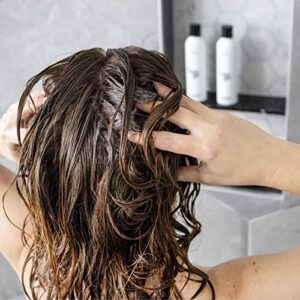 L’ange Hair Détox Deep-Cleansing Charcoal Shampoo