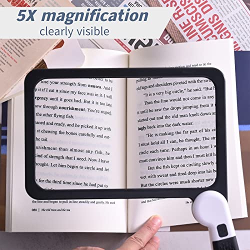 Magnifying Glass with Light, 5X Folding Handheld Large Rectangle Reading Magnifier with Dimmable for Macular Degeneration, Seniors Reading, Close Work, Lighted Gift for Low Visions (5X)