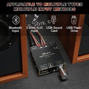 XY-C50H Bluetooth Amplifier Board, TPA3116D2 HiFi Chip 12-24V DC Input,Support USB Sound Card/USB Flash, AUX, Bluetooth Multiple Input Modes (XY-C50H with 12V/5A DC Power Adapter