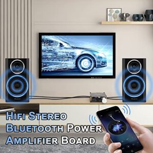 XY-C50H Bluetooth Amplifier Board, TPA3116D2 HiFi Chip 12-24V DC Input,Support USB Sound Card/USB Flash, AUX, Bluetooth Multiple Input Modes (XY-C50H with 12V/5A DC Power Adapter