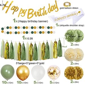 Sage Green Birthday Party Decorations with Happy Birthday Banner,Gold Fringe Curtain,Circle Dots Garland,Tissue Pompoms,Paper Tassels Garland for Girls Women Birthday Decor