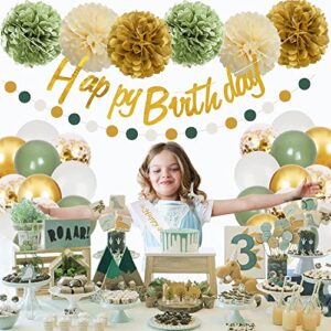 Sage Green Birthday Party Decorations with Happy Birthday Banner,Gold Fringe Curtain,Circle Dots Garland,Tissue Pompoms,Paper Tassels Garland for Girls Women Birthday Decor