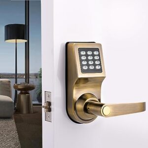 goodum door locks with handle, keyless door locks, biometric locks, numerical keypad door locks, keypad locks with handle