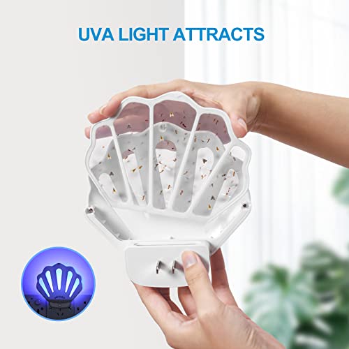 Flying Insect Trap HU002 Plug-in Fly Trap Indoor, Electric Bug Killer Indoor Gnat Catcher Fly Tapper with Night Light UV Attractant Catcher for Bedroom, Kitchen, Office (1 Pack, White)