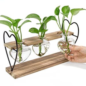 takfot plant propagation station with wood stand, terrarium tabletop glass planter for hydroponics air plants home office decor, plant holder lover gifts for women-3 heart shaped vase