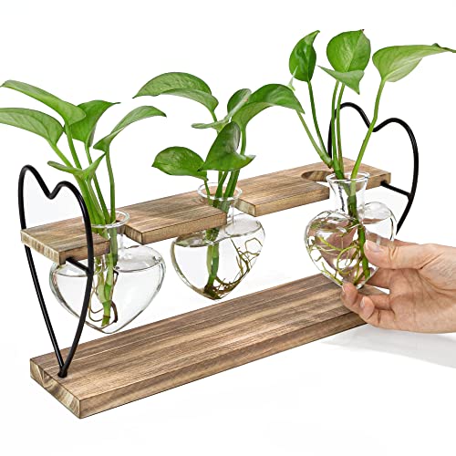 takfot Plant Propagation Station with Wood Stand, Terrarium Tabletop Glass Planter for Hydroponics Air Plants Home Office Decor, Plant Holder Lover Gifts for Women-3 Heart Shaped Vase