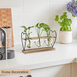 takfot Plant Propagation Station with Wood Stand, Terrarium Tabletop Glass Planter for Hydroponics Air Plants Home Office Decor, Plant Holder Lover Gifts for Women-3 Heart Shaped Vase