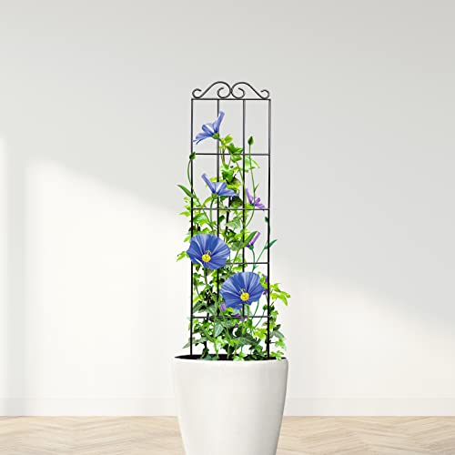 ARIFARO 37.5'' Metal Garden Trellis for Climbing Plants,(Pack of 4) Indoor/Outdoor Sturdy Plant Trellis for Potted Plants,House Plants, Climbing Vines, Black