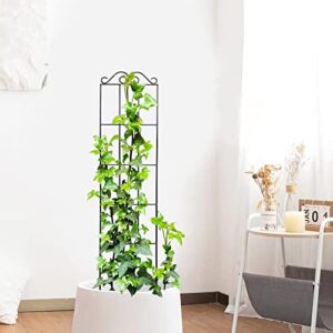 ARIFARO 37.5'' Metal Garden Trellis for Climbing Plants,(Pack of 4) Indoor/Outdoor Sturdy Plant Trellis for Potted Plants,House Plants, Climbing Vines, Black