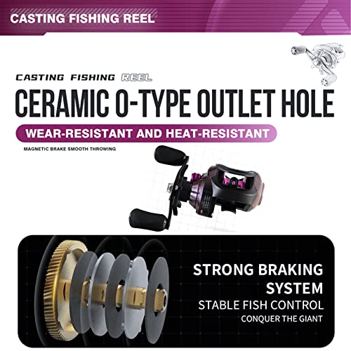 Baitcasting Fishing Reel,Compact Design Metal Body Baitcaster Reel,11LB Drag,20-Speed Magnetic Braking System,Available in 6.5:1 and 8.1:1Conventional Reel for Catfish, Musky (A: Right Hand-8.1:1)