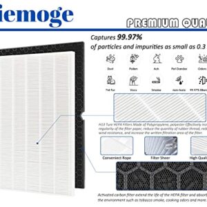 Yiemoge 116130 Replacement filter H: Compatible with winix 5500-2 Air Purifier - 2pack TURE HPEA filters + 2pack Activated Carbon Filters