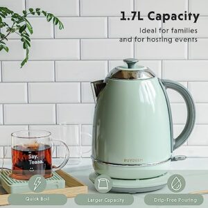 BUYDEEM K640N Stainless Steel Electric Tea Kettle with Auto Shut-Off and Boil Dry Protection, 1.7 Liter Cordless Hot Water Boiler with Swivel Base, 1440W, Cozy Greenish
