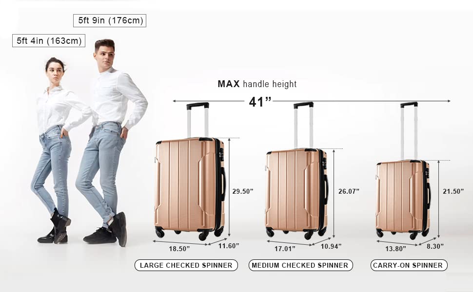 Merax Hardside Luggage Sets 3 Piece Suitcase Set Carry On Expandable Luggage with TSA Lock Spinner Wheels for Men Women (Gold)