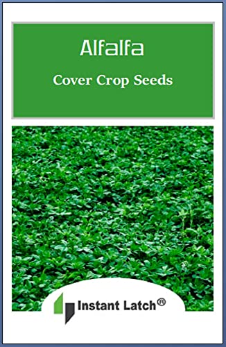 500 Alfalfa Cover Crop Seeds | Non-GMO | Heirloom | Fresh Garden Seeds