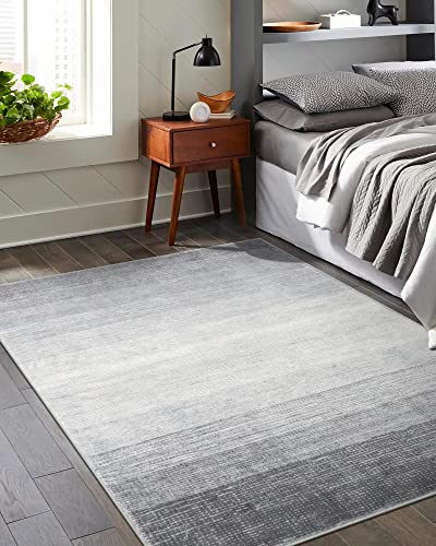 Wonnitar Modern Ombre 5x7 Grey Rugs for Living Room,Washable Large Bedroom Area Rug,Non-Slip Stain Resistant Dining Table Throw Mat,Non-Shedding Abstract Carpet for Entry Basement Dorm