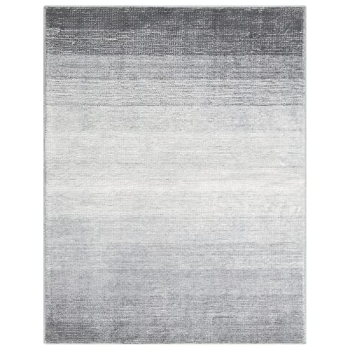 Wonnitar Modern Ombre 5x7 Grey Rugs for Living Room,Washable Large Bedroom Area Rug,Non-Slip Stain Resistant Dining Table Throw Mat,Non-Shedding Abstract Carpet for Entry Basement Dorm