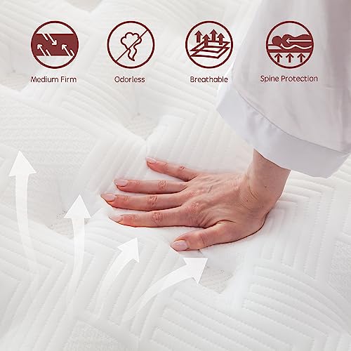 LMANKBK Queen Mattress, 10 Inch Innerspring Hybrid Mattress in a Box with Gel Memory Foam, Individually Wrapped Encased Coil Pocket Spring Mattress, Pressure Relief, Medium Firm Support,60"*80"*10"…