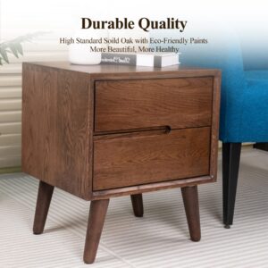 Cttasty Nightstand, Solid Wood Small End Table w/2 Drawers, Modern Bedside Tables, Mid Century Night Stand, Bed Side Table, 15.75" L x 13.78" W x 18.5" H, Handle on The Left, Walnut