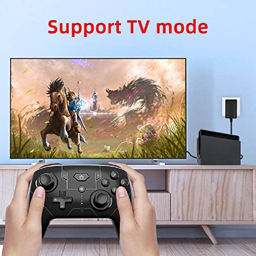 Prodico Charger for Nintendo Switch, Fast Travel Charger Compatible with Nintendo Switch/Switch Lite/Switch OLED/Switch Dock