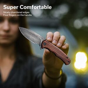 CIVIVI Folding Pocket Knife for EDC, Small Mini Praxis Knife for Men Women, 2.98" Damascus Blade Guibourtia Wood Handle, Sharp Camping Hiking Knives C18026C-DS1