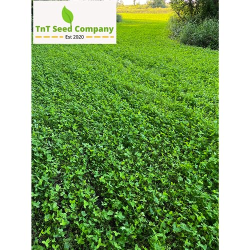 4 LB Clover and Alfalfa Deer Food Plot Mix - 3 Species Mix -Seeds Over 1/2 Acre