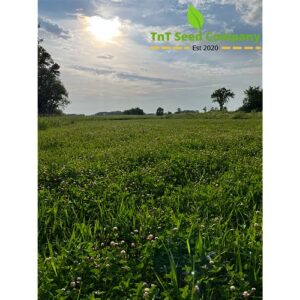 4 LB Clover and Alfalfa Deer Food Plot Mix - 3 Species Mix -Seeds Over 1/2 Acre