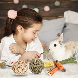 YIXUND Rabbit Toys Guinea Pig Toys Hamster Toys Bunny Toys 18Pcs Natural Timothy Hay Sticks Apple Wood Sticks Chinchilla Toys for Teeth Care Handmade